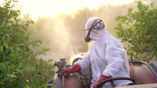 Anonymous farmer spraying pesticide on lemon trees while riding tractor
