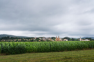 Fototapeta na wymiar View of a corn plantation with the Cantabrian village of Novales in the background with its neo-Gothic church of San Pedro.