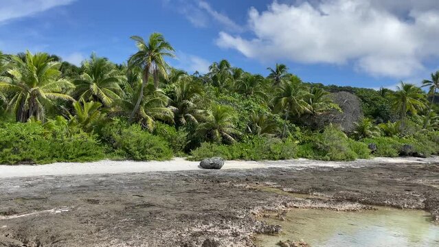 Tropical island with palm trees and a beach and rocky shoreline on Makatea island, French Polynesia in the Pacific Ocean