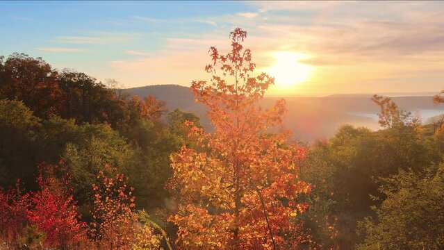 Ozark mountain Arkansas forest scenic overlook in fall with autumn colored trees via aerial drone viewpoint