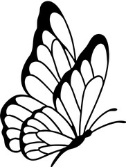 black and white butterfly vector