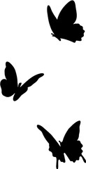 Obraz na płótnie Canvas silhouette of a butterfly