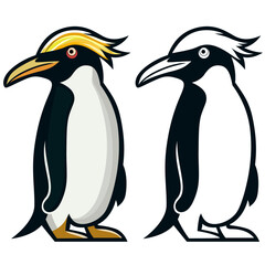 Macaroni penguin simple vector clip art, Eudyptes chrysolophus , seabird stock vector image