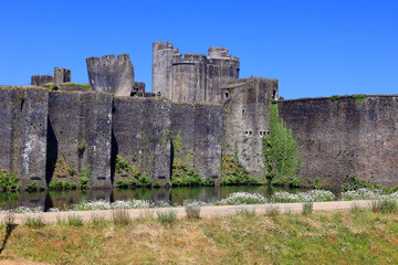 Fototapety na wymiar - Fototapeta24.pl