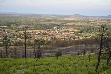 Fototapeta premium Villardeciervos 