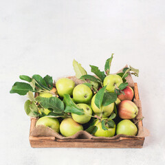 Apples in a basket standing on a table, fruit harvest in the summer, healthy organic food
