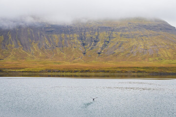 Naklejka premium Landscape of the Snaefellsnes Peninsula (Iceland)