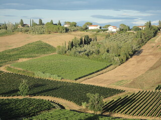 Tuscany landscape