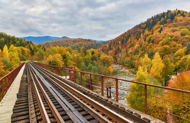 Fototapeta na wymiar View on railway bridge above the Prut river. Beauteful autumn in Carpathian mountains, Ukraine
