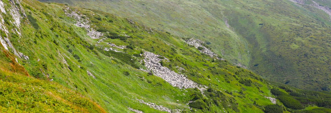 A panoramic image of a steep mountain slope with green vegetation and white rocks, overlooking a valley.