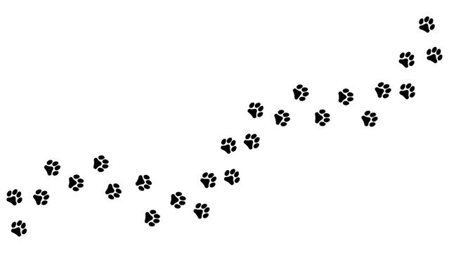 Track of paw footprints from a cat, tiger, lion, jaguar, panther, leopard, snow bars, cougar, cheetah, felines. Silhouette diagonal track. Vector on white. For pet shop, textiles print on clothes