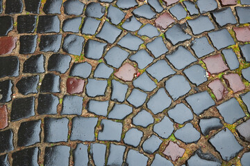 texture wet stone pavers in the old town, wet stone paving stone tiles after rain.