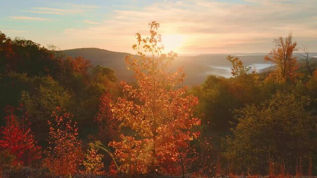 Beautiful Arkansas ozark mountain scenic overlook in fall with autumn colored forest and maple trees with sunlight
