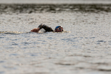 Schwimmer im Summter See, Brandenburg