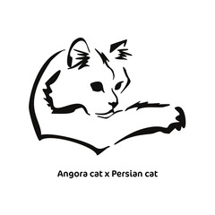 Vector drawing of a stylized cat with long hair. Mix of Angora cat with Persian cat. Animal gestalt design.