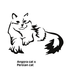 Vector drawing of a stylized cat with long hair. Mix of Angora cat with Persian cat. Animal gestalt design.