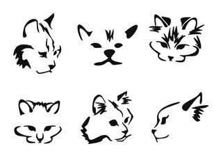 Vector drawing of a stylized cat with long hair. Mix of Angora cat with Persian cat. Animal gestalt design.