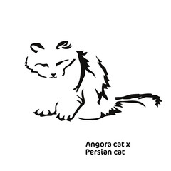 Vector drawing of a stylized cat with long hair. Mix of Angora cat with Persian cat. Animal gestalt design.