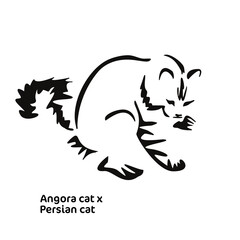 Obraz premium Vector drawing of a stylized cat with long hair. Mix of Angora cat with Persian cat. Animal gestalt design.