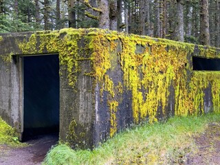 Kodiak WW2 structure