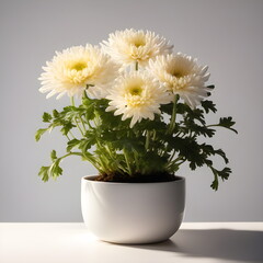 chrysanthemum in a pot with white flowers in it. Generative AI