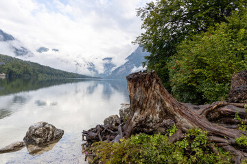 Slowenien: Bohinj See in der Morgenstimmung mit Baumstamm im Vordergrund