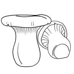 illustration of mushroom