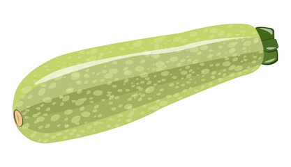 zucchini, green zucchini, vegetable marrow on transparent background, vegetable, food, vector, illustration, png