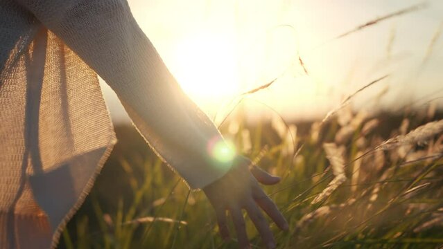 B roll - Hand of traveling woman touching meadow in the rays of the sunset summer, Female walks through the field in thick high grass, slow motion
