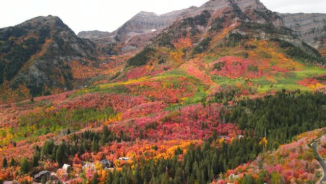 Aerial view of Mt Timpanogos recreation area in Utah with colorful fall foliage. 