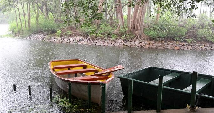 Row boats in the middle of Karanji lake park, under rain in Mysore, Karnataka, India