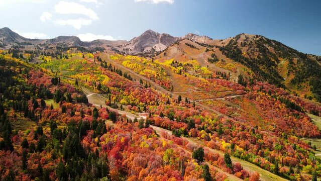 Bright autumn foliage at Snow basin in Ogden valley, Utah.