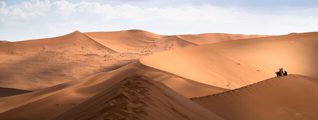 Fototapeta na wymiar Disfrutando de la inmensidad del mar de dunas del desierto del Namib, Namibia.