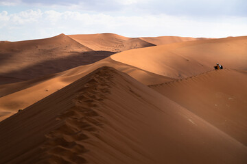 Fototapeta na wymiar Contemplando la majestuosidad del mar de dunas del desierto del Namib, Namibia.