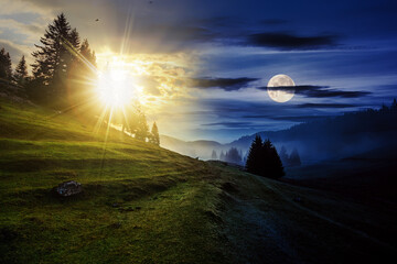 fir trees on meadow between hillsides with conifer forest in fog with sun and moon at twilight. day and night time change concept. mysterious countryside scenery in morning light © Pellinni