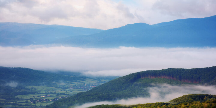 beautiful dawn in mountains with fog in the valley. forested hills covered in morning mist. overcast sky