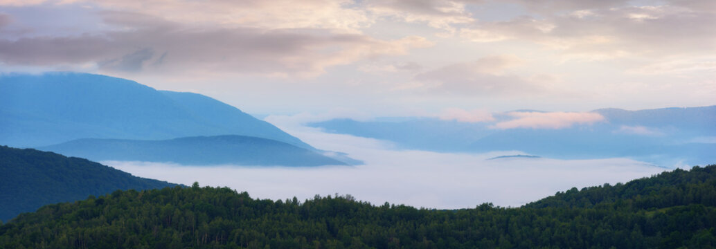 wonderful mountainous countryside at foggy sunrise. nature freshness concept