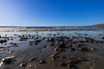 Sea side at Penísula de Valdés, Patagonia Argentina