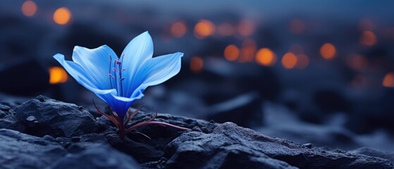 Delicate flower in bloom growing on harsh tundra rock cliff, violet blue petals, ice cold winter morning, panoramic macro closeup - generative AI  - Powered by Adobe