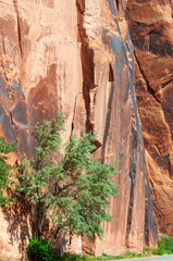 a landscape photograph taken in Arches National Park