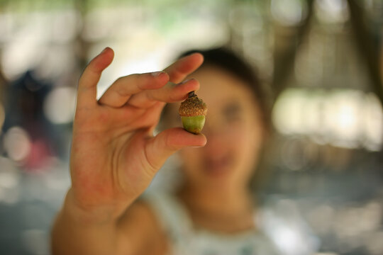 Pequenos gestos, grandes começos: Uma criança segura entre os dedos uma semente de carvalho, plantando as raízes da esperança e a promessa de um futuro florescente.