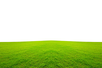 top green grass field PNG