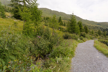 Alpage au-dessus de Serfaus