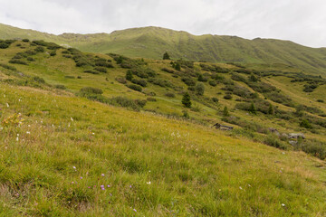 Alpage au-dessus de Serfaus