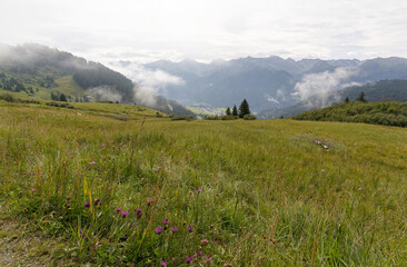 Alpage au-dessus de Serfaus