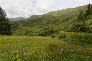 Fototapeta na wymiar Alpage au-dessus de Serfaus