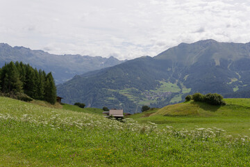 Fototapeta na wymiar Alpage en montagne