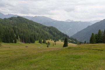 Fototapeta na wymiar Vallée et alpage en montagne