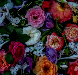 Multicolored flowers on a black background, top view. floral backdrop