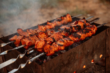 Bright kebabs, outdoor recreation, meat on skewers.